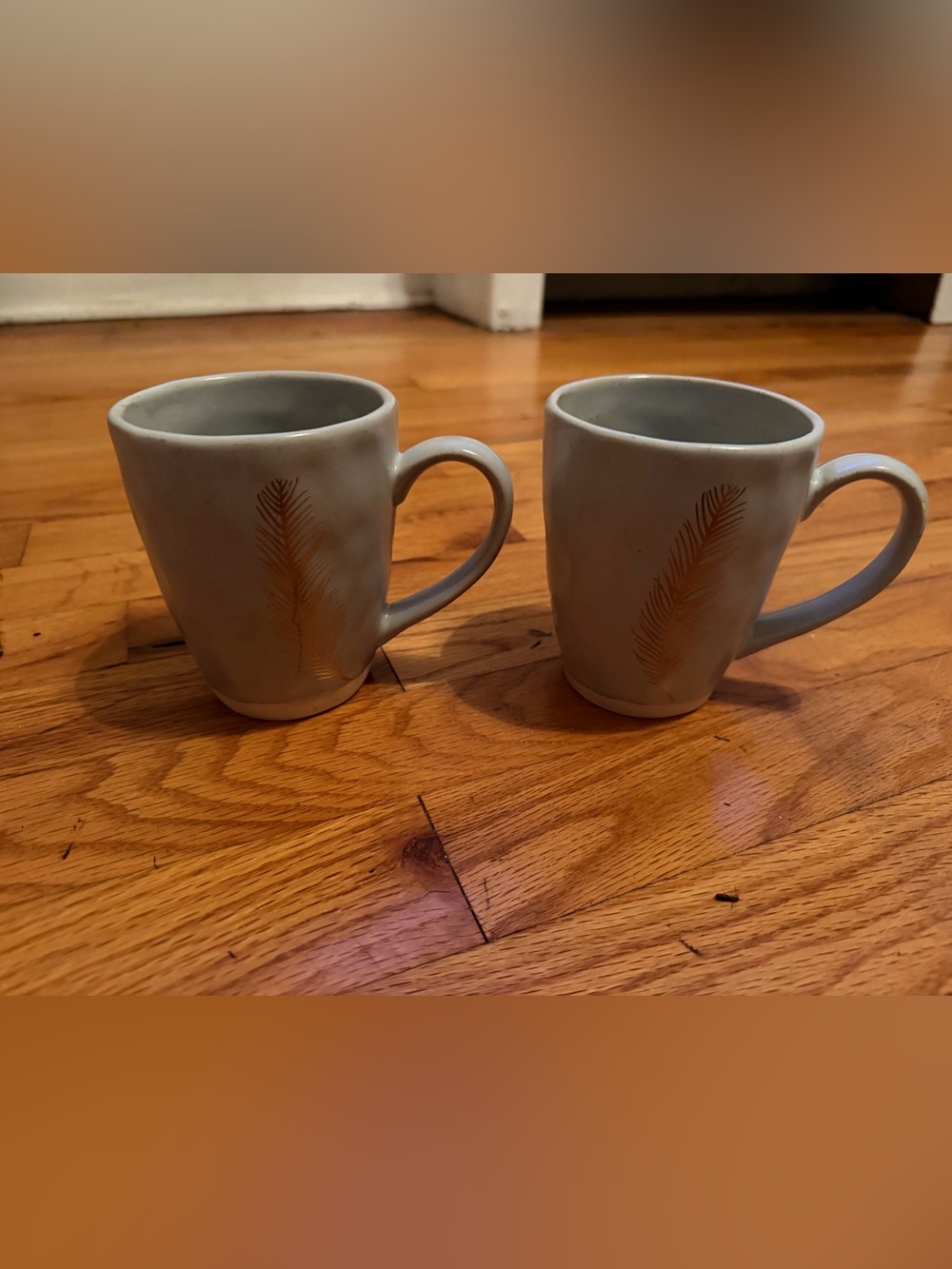 Set of 2 Gray Ceramic Mugs with Gold Feather Accent